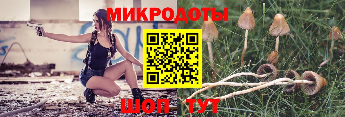 Галлюциногенные грибы ЛСД Балтийск