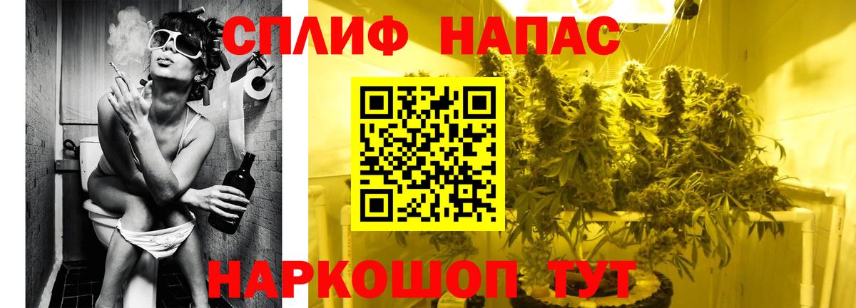 Бошки Шишки марихуана  МАРИХУАНА VHQ  Балтийск  Вход с VPN  Марихуана семена  Канабис THC 21% 